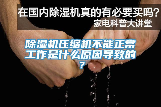 除濕機壓縮機不能正常工作是什么原因?qū)е碌模?/></p>
                            <p style=