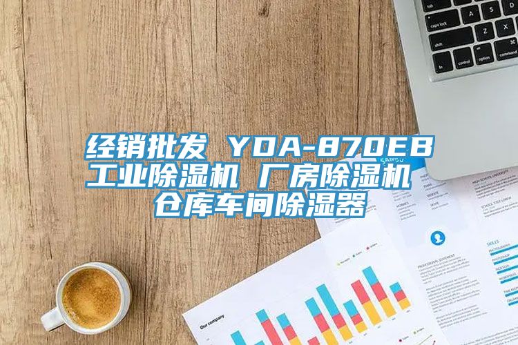 經(jīng)銷批發(fā) YDA-870EB工業(yè)除濕機(jī) 廠房除濕機(jī) 倉庫車間除濕器