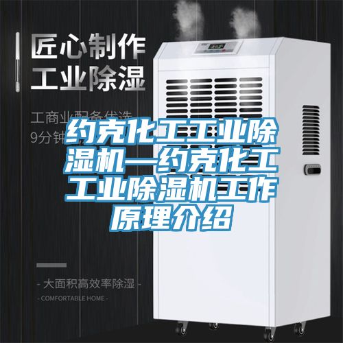 約克化工工業(yè)除濕機(jī)—約克化工工業(yè)除濕機(jī)工作原理介紹