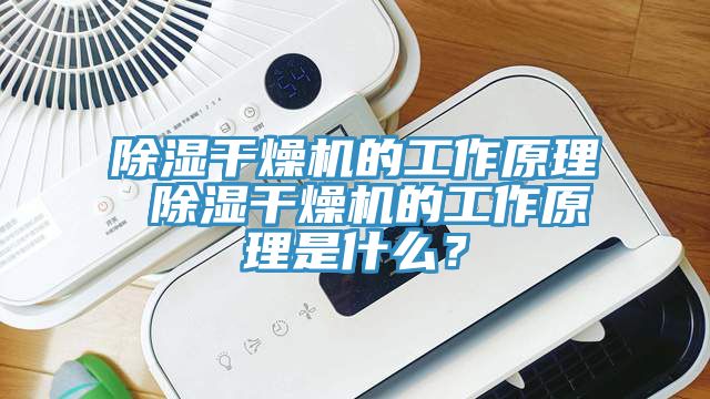 除濕干燥機的工作原理 除濕干燥機的工作原理是什么？