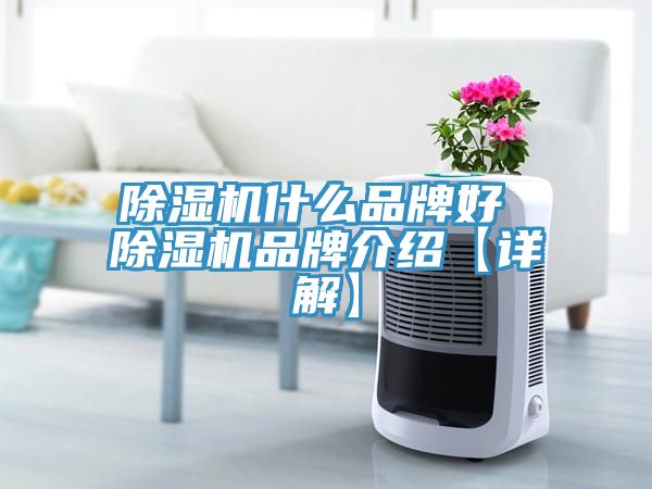 除濕機(jī)什么品牌好 除濕機(jī)品牌介紹【詳解】