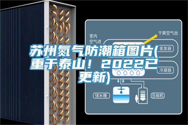 蘇州氮氣防潮箱圖片(重于泰山！2022已更新)