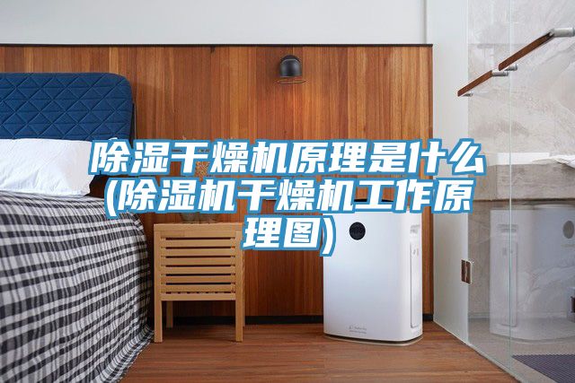 除濕干燥機原理是什么(除濕機干燥機工作原理圖)