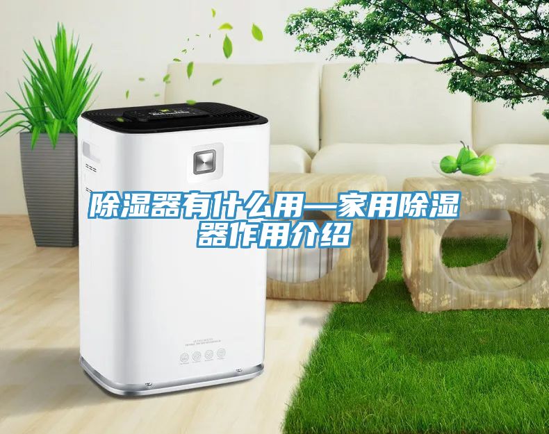 除濕器有什么用—家用除濕器作用介紹