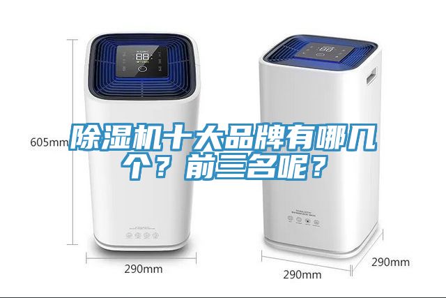 除濕機十大品牌有哪幾個？前三名呢？