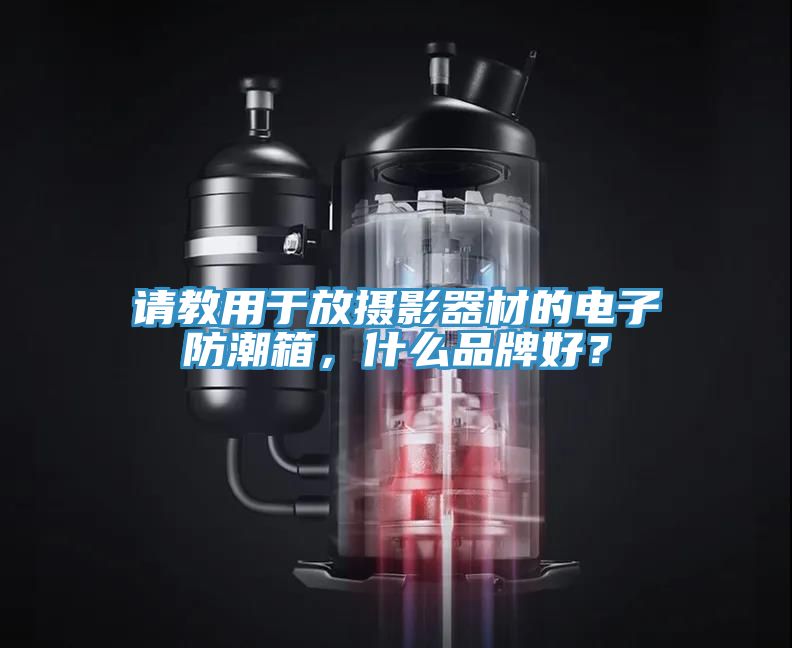 請(qǐng)教用于放攝影器材的電子防潮箱，什么品牌好？