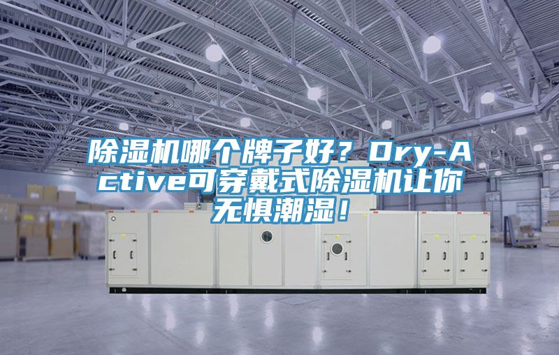 除濕機哪個牌子好？Dry-Active可穿戴式除濕機讓你無懼潮濕！