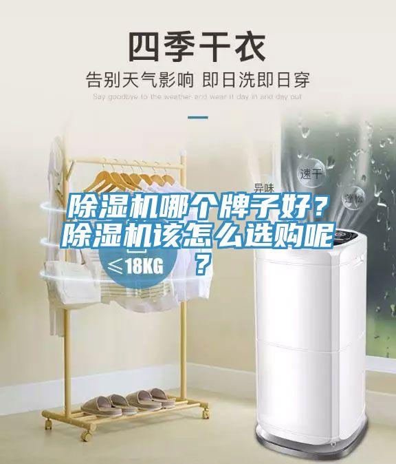 除濕機(jī)哪個(gè)牌子好？除濕機(jī)該怎么選購呢？