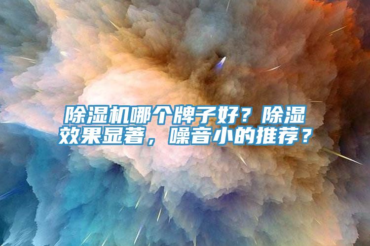 除濕機哪個牌子好？除濕效果顯著，噪音小的推薦？