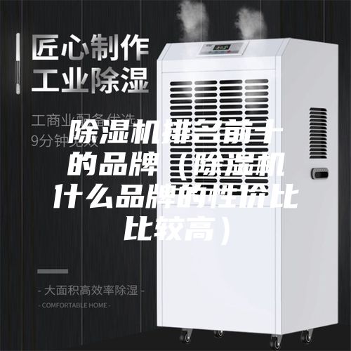 除濕機(jī)排名前十的品牌（除濕機(jī)什么品牌的性價(jià)比比較高）