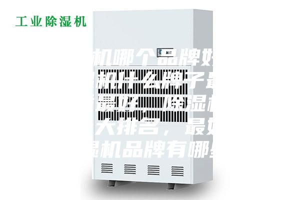 除濕機(jī)哪個品牌好用，除濕機(jī)什么牌子最好品質(zhì)最好，除濕機(jī)品牌十大排名，最好的除濕機(jī)品牌有哪些？