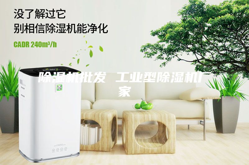 除濕機批發(fā) 工業(yè)型除濕機廠家