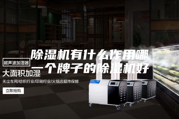 除濕機(jī)有什么作用哪一個牌子的除濕機(jī)好