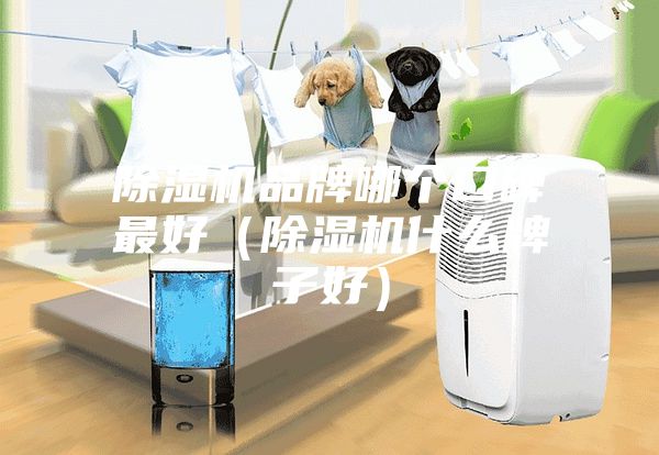 除濕機品牌哪個口碑最好（除濕機什么牌子好）