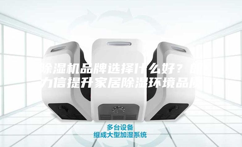 除濕機品牌選擇什么好？朗力信提升家居除濕環(huán)境品質(zhì)