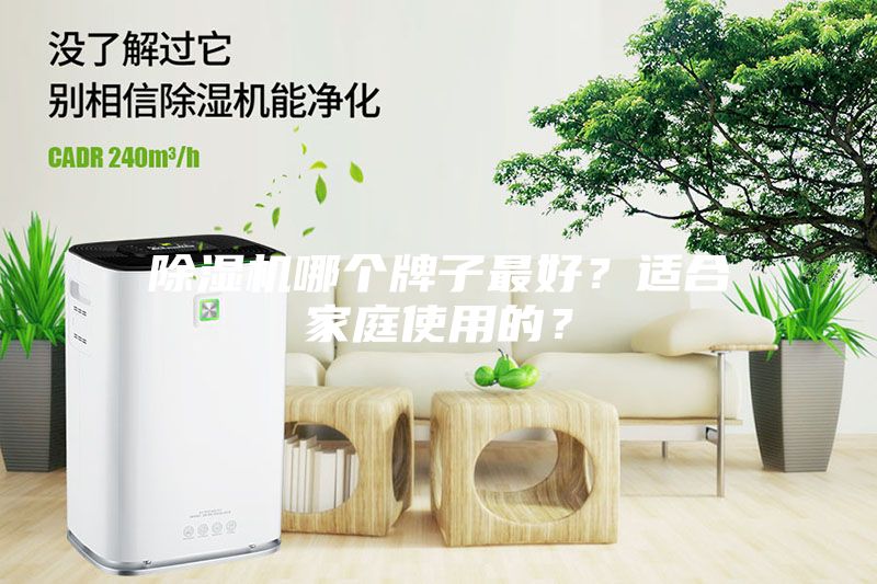 除濕機哪個牌子最好？適合家庭使用的？