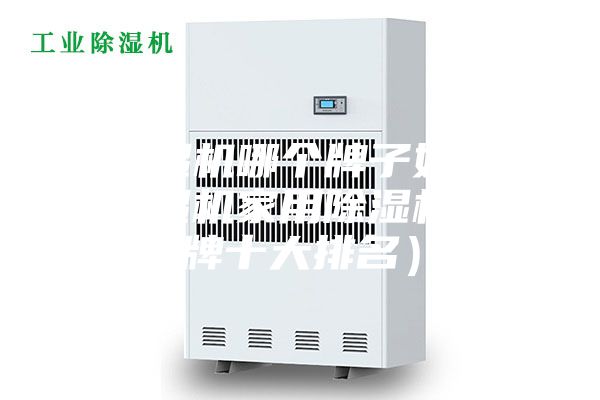 除濕機(jī)哪個(gè)牌子好（除濕機(jī)家用除濕機(jī)品牌十大排名）