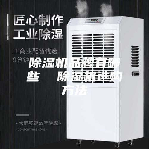 除濕機(jī)品牌有哪些  除濕機(jī)選購(gòu)方法