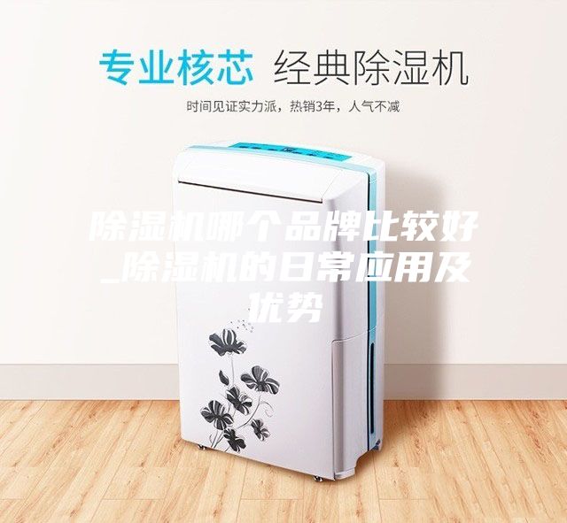 除濕機哪個品牌比較好_除濕機的日常應(yīng)用及優(yōu)勢