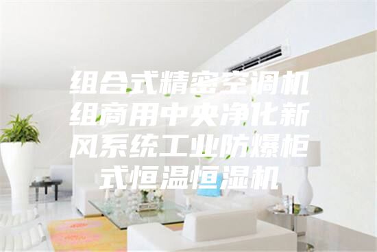 組合式精密空調(diào)機(jī)組商用中央凈化新風(fēng)系統(tǒng)工業(yè)防爆柜式恒溫恒濕機(jī)