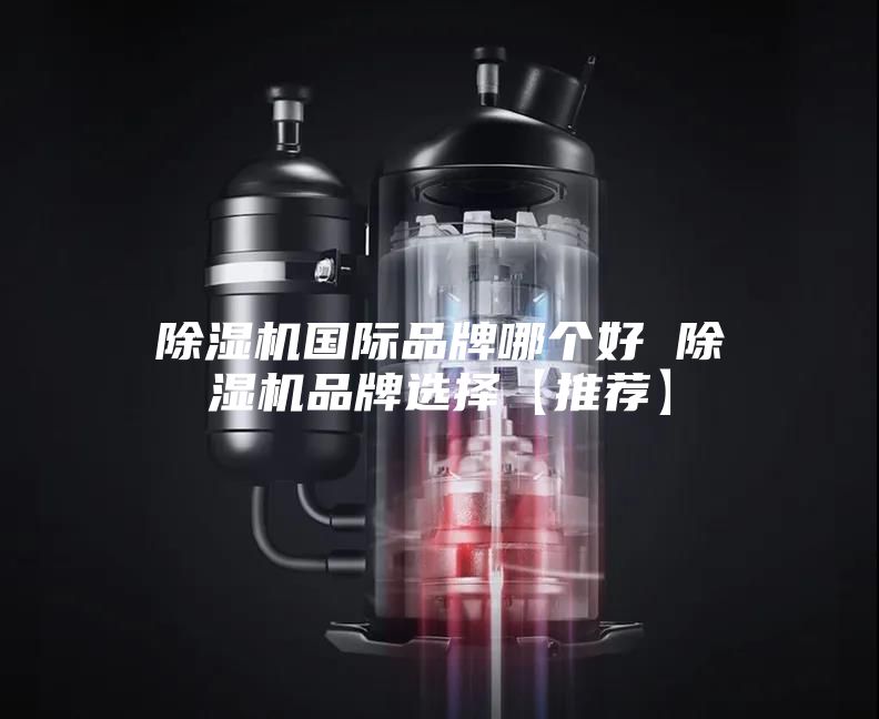 除濕機(jī)國際品牌哪個(gè)好 除濕機(jī)品牌選擇【推薦】