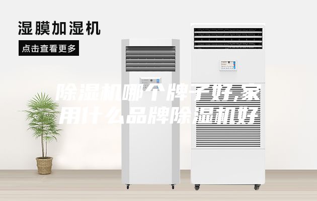 除濕機(jī)哪個(gè)牌子好,家用什么品牌除濕機(jī)好