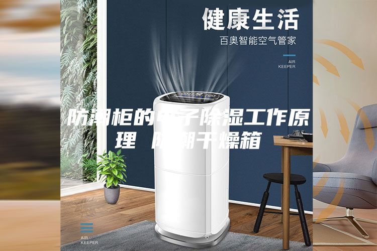 防潮柜的電子除濕工作原理 防潮干燥箱