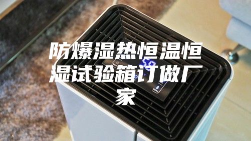 防爆濕熱恒溫恒濕試驗(yàn)箱訂做廠家