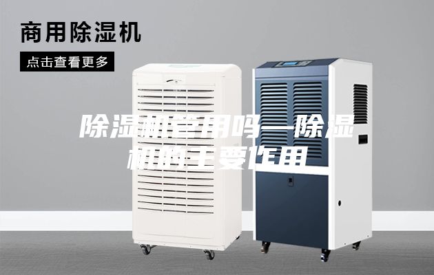 除濕機管用嗎—除濕機的主要作用