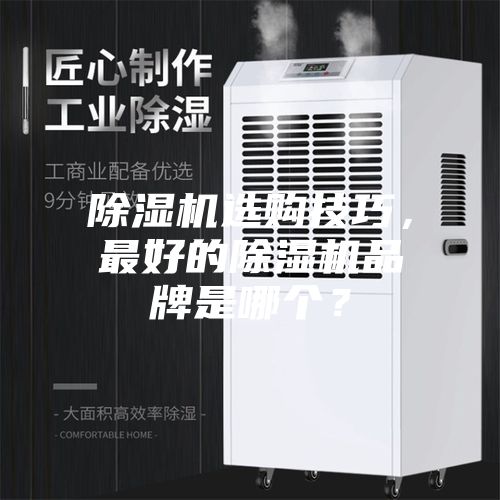 除濕機選購技巧，最好的除濕機品牌是哪個？