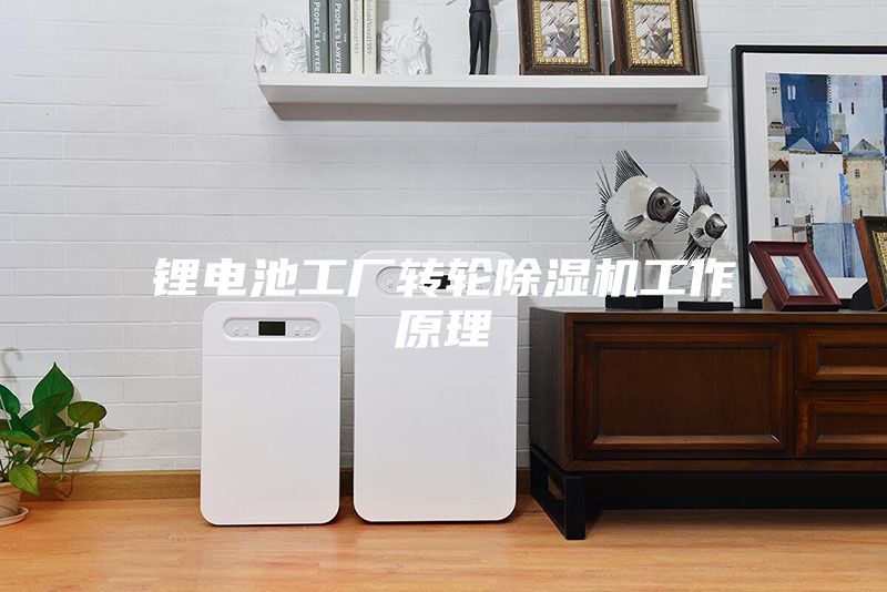 鋰電池工廠轉(zhuǎn)輪除濕機工作原理