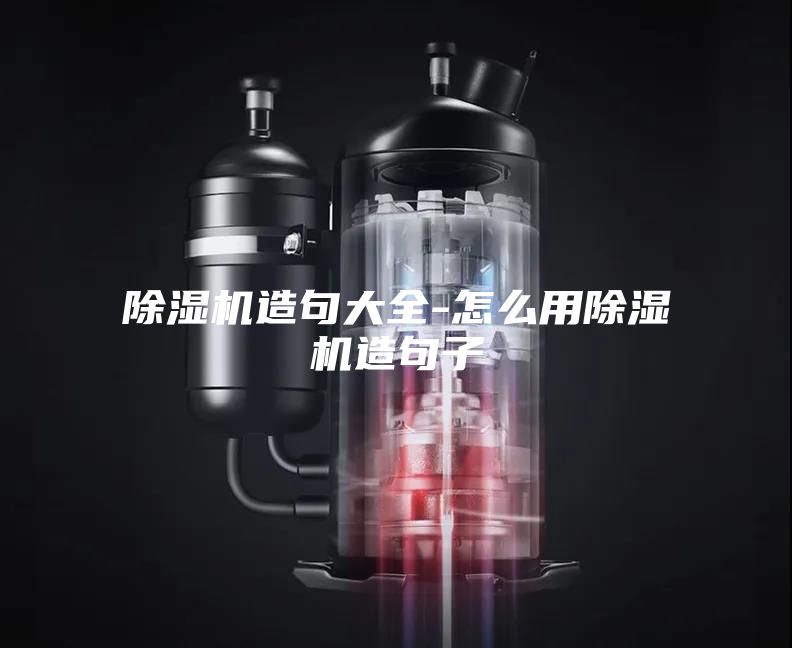 除濕機造句大全-怎么用除濕機造句子