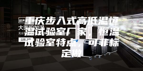 重慶步入式高低溫恒溫試驗室廠家，恒溫試驗室特點，可非標(biāo)定做