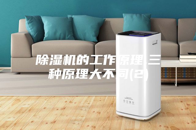 除濕機的工作原理,三種原理大不同(2)