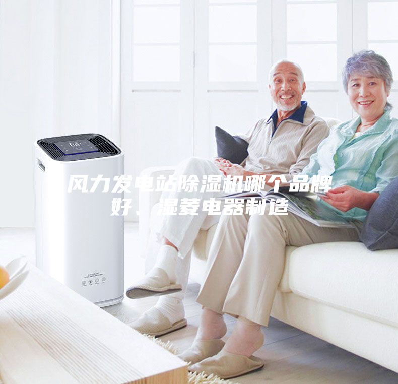 風(fēng)力發(fā)電站除濕機(jī)哪個品牌好、濕菱電器制造