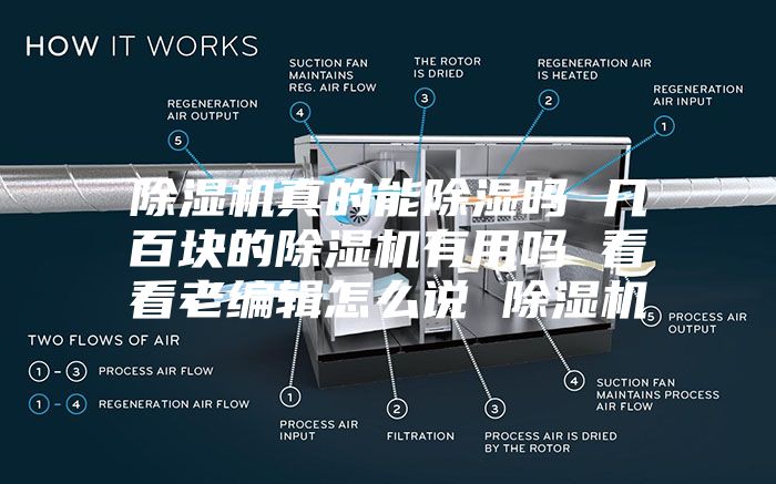 除濕機(jī)真的能除濕嗎 幾百塊的除濕機(jī)有用嗎 看看老編輯怎么說 除濕機(jī)