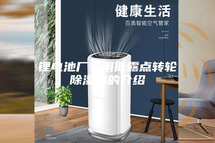 鋰電池廠專用低露點(diǎn)轉(zhuǎn)輪除濕機(jī)的介紹