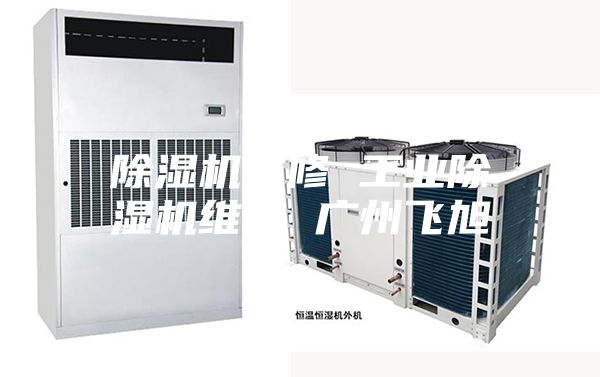 除濕機(jī)維修 工業(yè)除濕機(jī)維修 廣州飛旭