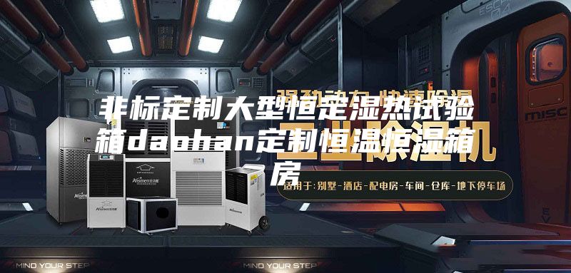 非標定制大型恒定濕熱試驗箱daohan定制恒溫恒濕箱房