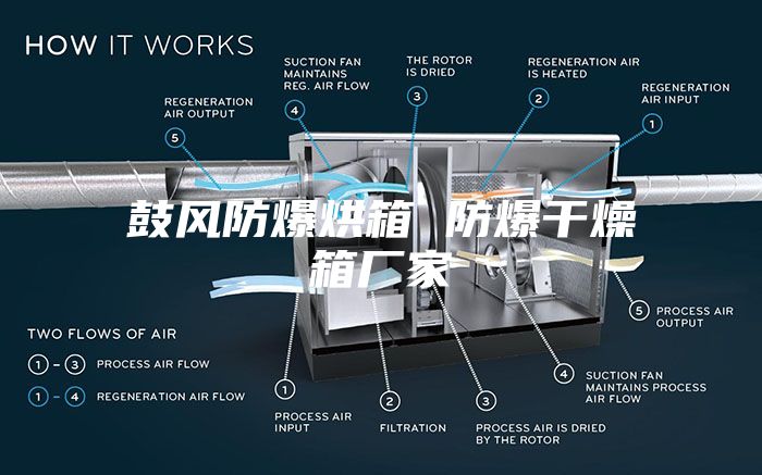 鼓風(fēng)防爆烘箱 防爆干燥箱廠家